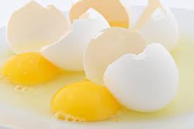 eggs