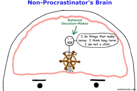 NP brain