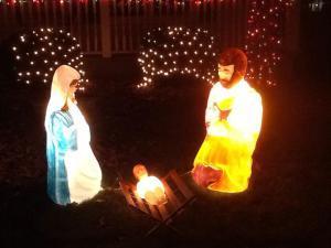 Photo credit: my neighbors