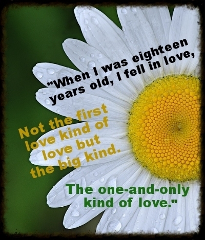  photo 525b029b-48eb-4e42-886a-7c271700ff26.jpg