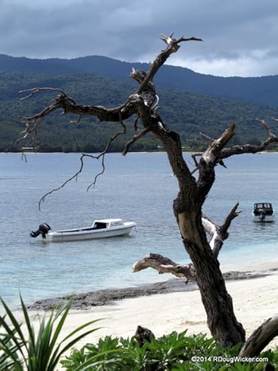 Tree Meets Boat