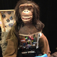 chimp