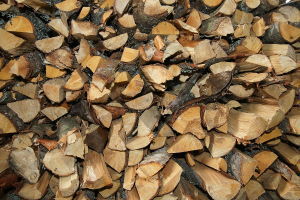 My brother's woodpile goes on and on in his backyard.