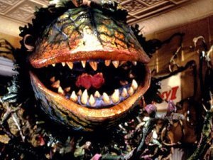 Seymour