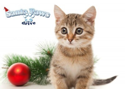 Santa-Paws-Drive