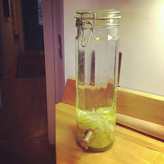 etrog peels under vodka
