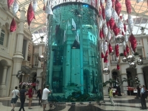 MGM Grand Aqaurium Interesting Things To Do in Macau