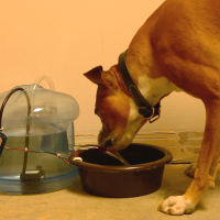 Stella_Pet_Drink