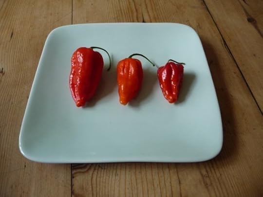 Naga Morich 