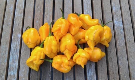 Trinidad Scorpion CARDI 