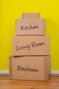 7cbc86a1ba9c1beddee5af34d1183530