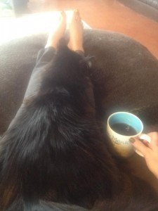 Copy Edits with Cat