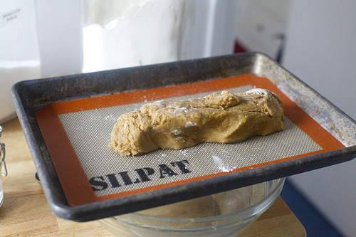 forming the dough into a log