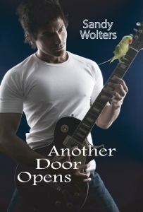Another Door Opens Book Cover (203x300)