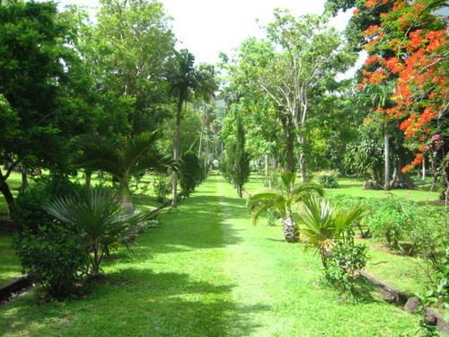 botanical gardens sr vincent