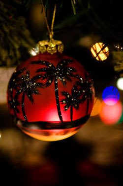  photo Corey-Ann-Small_zps164c7037.jpg