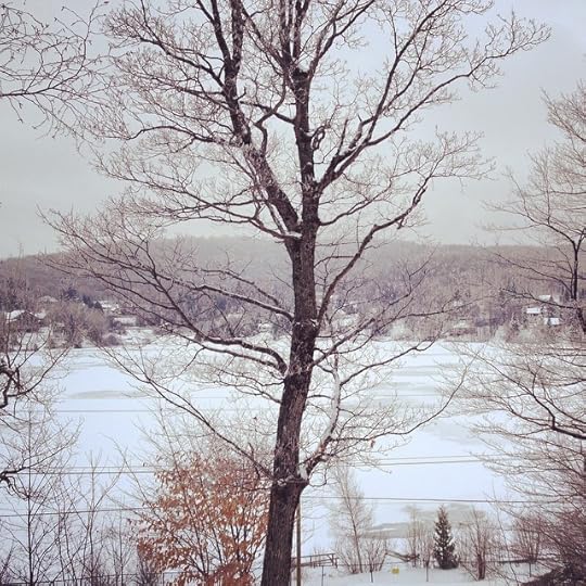 Wonderland #winter #qc #canada