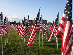 Field of flags