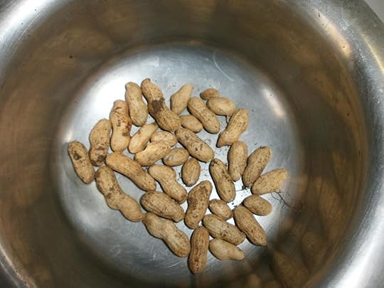  photo Successful-OTG-Harvest-Groundnuts_zpsb04af524.jpg