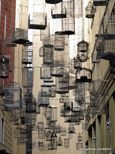 Birdcage Alley