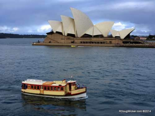 Taking the Taxi to the Opera