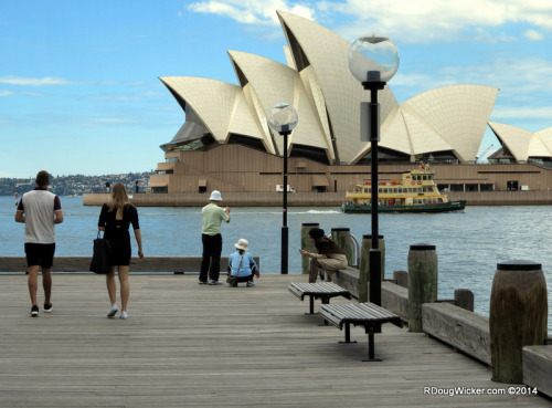 Lampposts, Tourists, and Texting