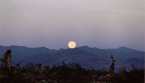 Mountain_Moonset.jpg