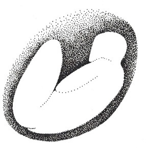 Art by Pamela Simonton