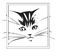 cat-01