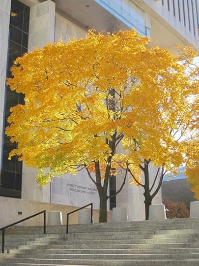 Abrams Building org- Autumn.jpg