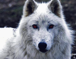 Screenshot 5 23 13 9 24 AM