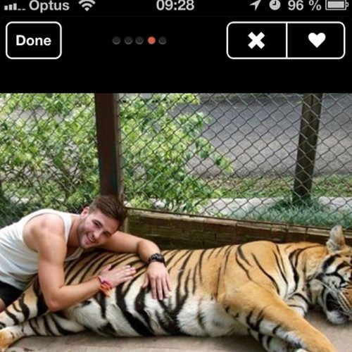 Photo: tinderguyswithtigers