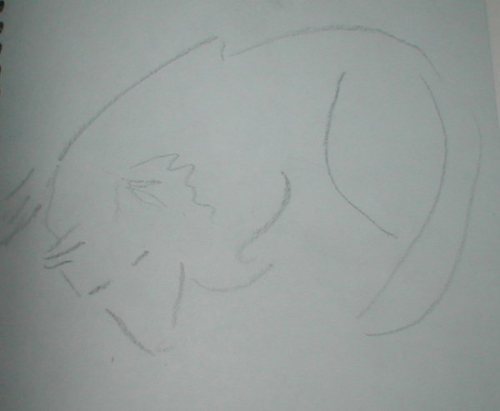 gesture sketch, maggie