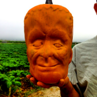 the-creature-pumkins-2