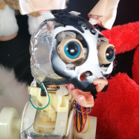 Detail shot of the insides of one of Hasbro's more complex robot toys. Wow!