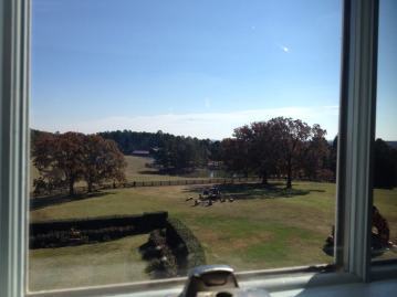 view from boys bed
