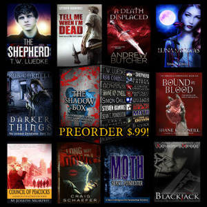 squarebanner2 300x300 “The Shadow Box”—Interview with Kristopher Norris
