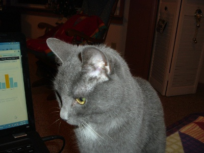 I helpz wif teh wurdz an picshez.