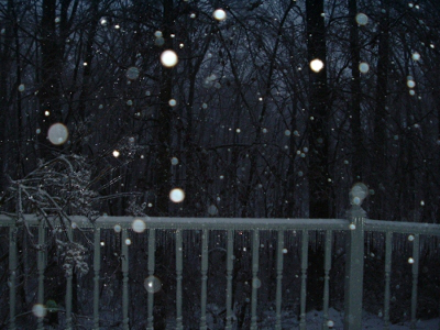 winter