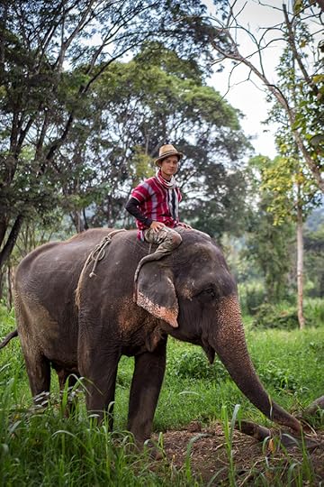 The Mahout - Thailand