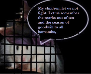 zgn88888891----------------------