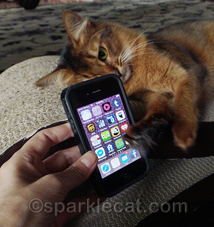 Yes, she still has the iPhone 4... has been too lazy to upgrade