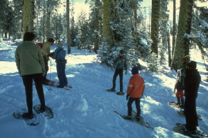 Yosemite_Winter_Hiking