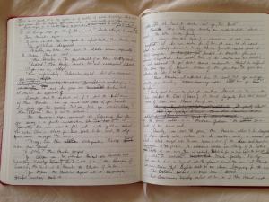 My current WIP, chicken scratches and all.