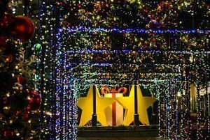 Holiday_Lights_(8290582563)
