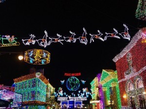 Osborne Family Spectacle of Dancing Lights (photo by Sarah Graffam) 