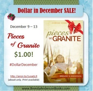 Pieces of Granite Dollar in December Sale