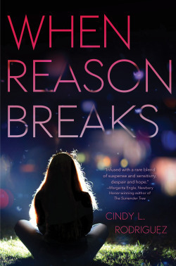 WhenReasonBreaks_Comp