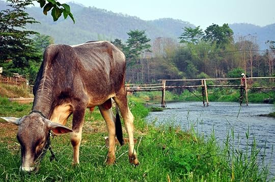 Pai, Thailand