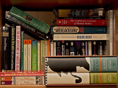 The Bookshelf of Sherlock Holmes by bcostin